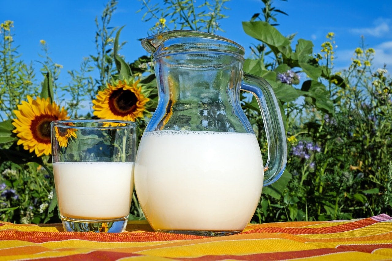 pitcher and glass of milk