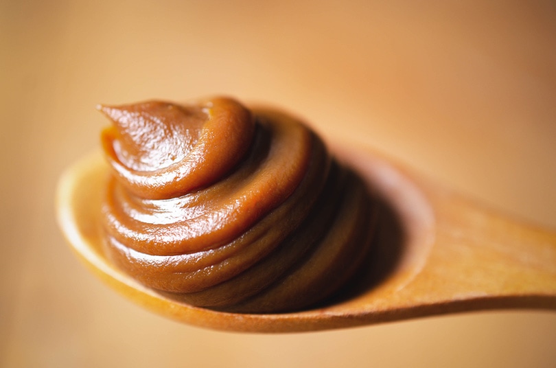 A spoonful of dulce de leche on a wooden spoon