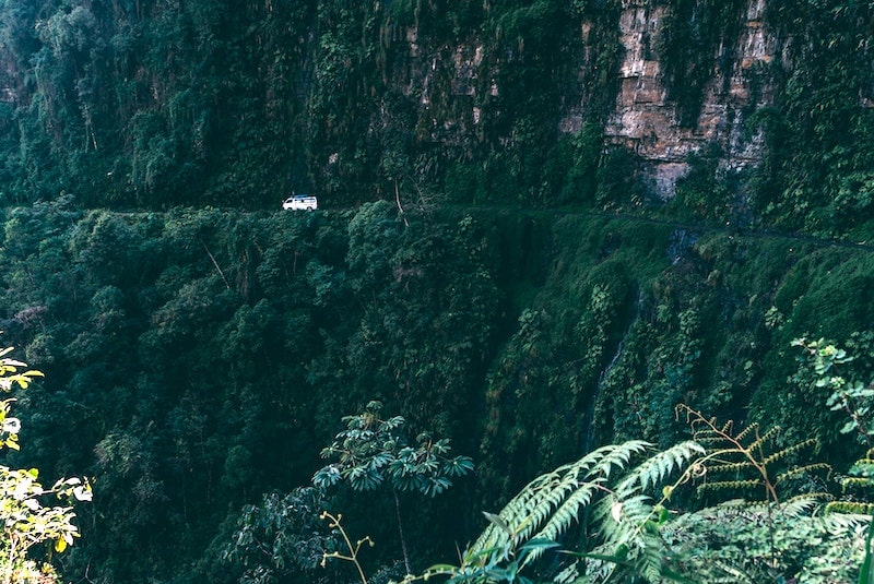 yunga forest road in Bolivia