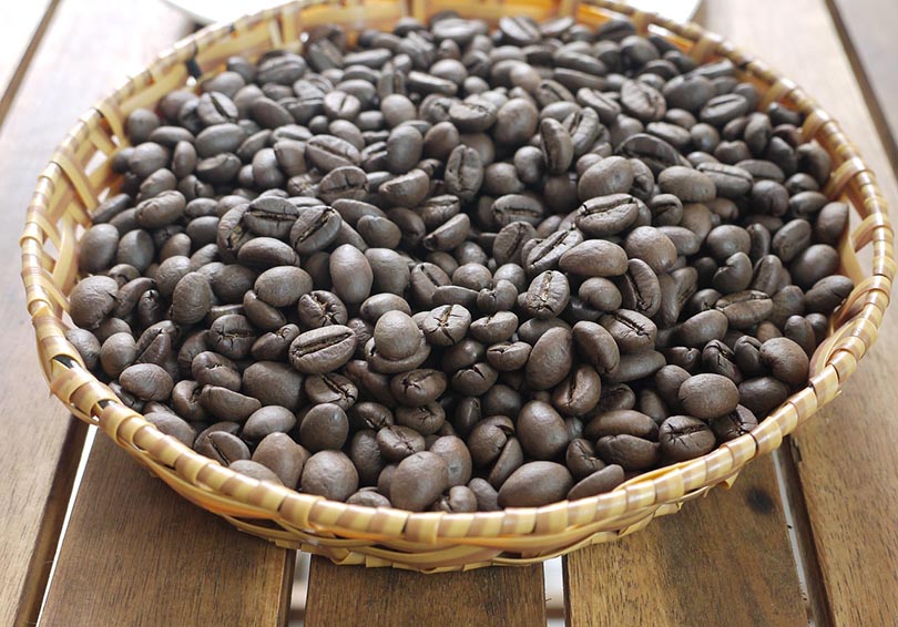 robusta coffee beans