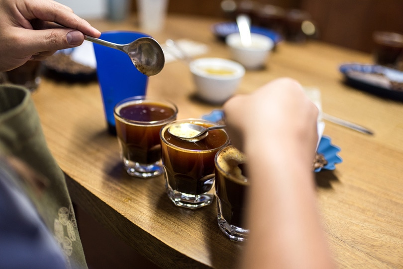 Professional coffee cupping