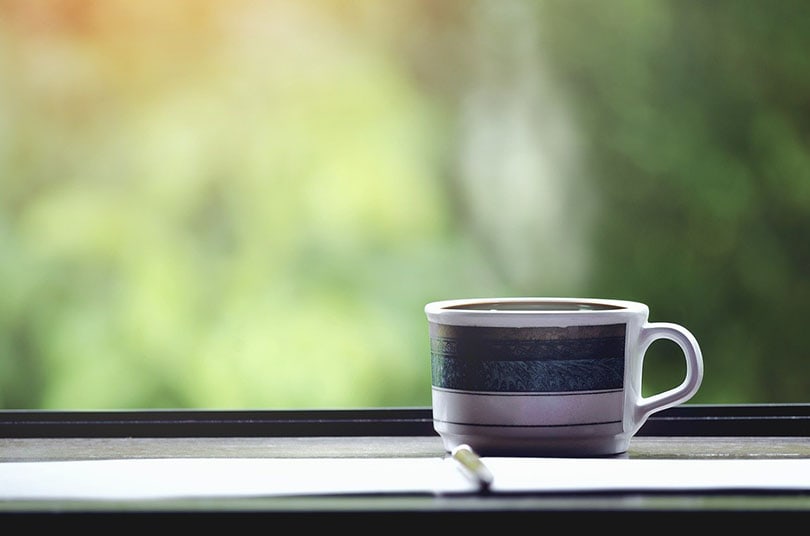 espresso break