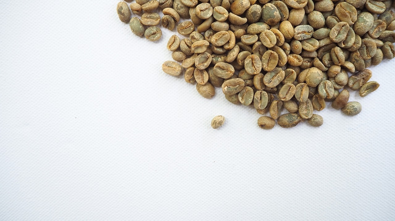 green coffee beans in white background