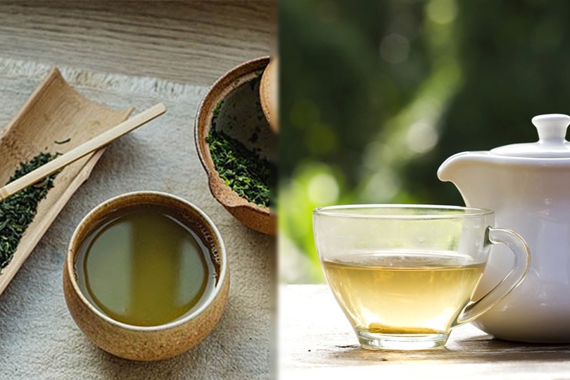 green tea vs. white tea