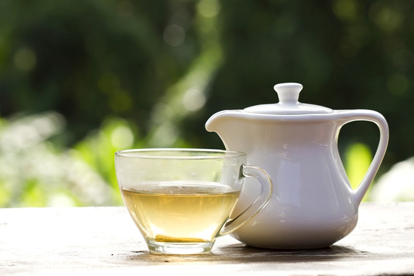 hot white tea in cup and white jug on wooden table