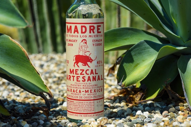 Oaxaca coffee bottle of mezcal with agave plants