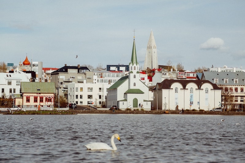 Reykjavik Iceland city with swan