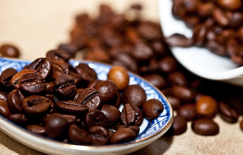 robusta coffee beans on a spoon