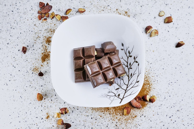 dark chocolate bars on a white plate