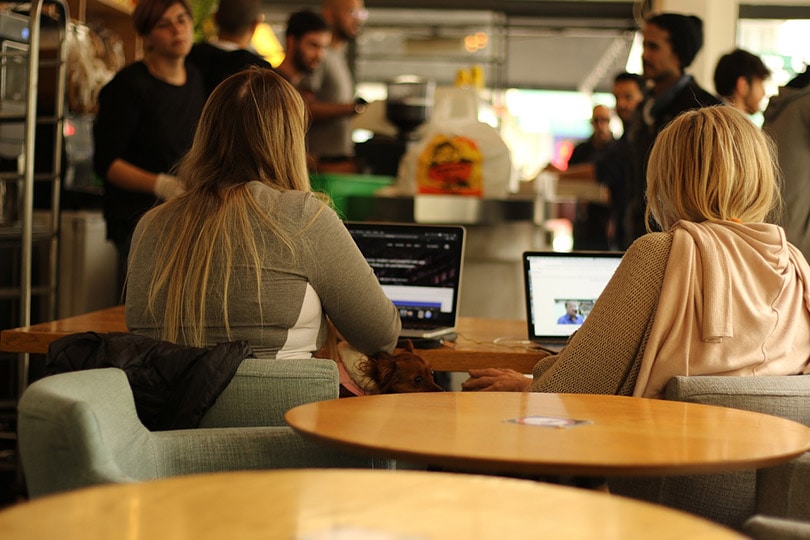 students in coffee shop