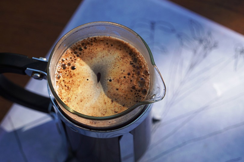 french press coffee maker