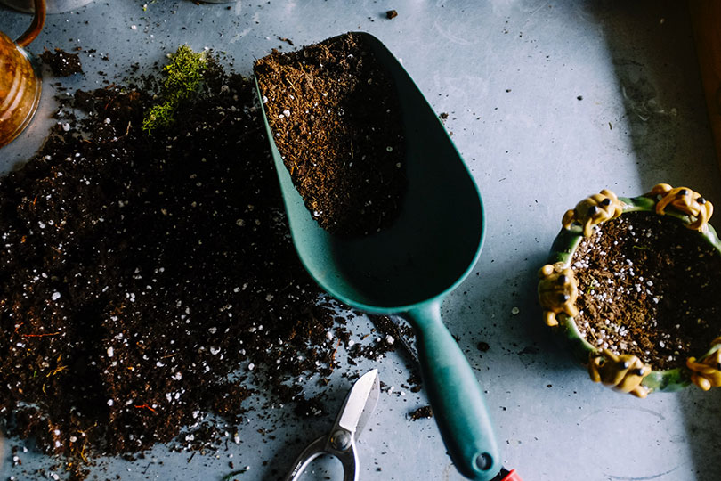 coffee grounds compost