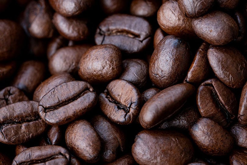 dark roasted coffee beans