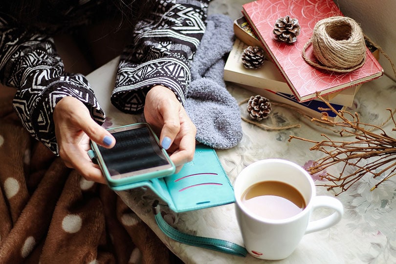woman holding a smartphone