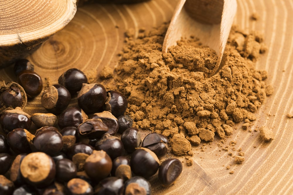 Guarana seeds and powder