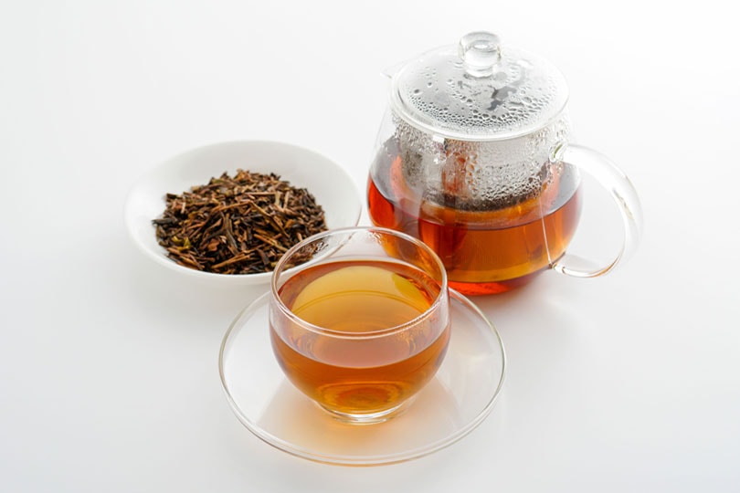 hojicha tea