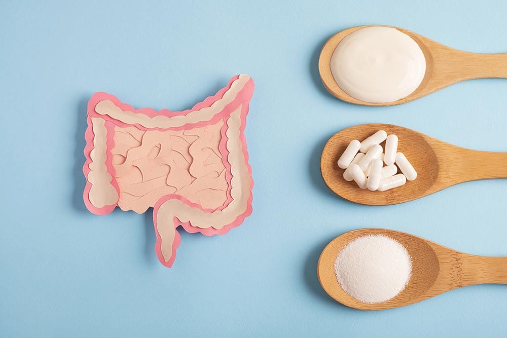 variety of probiotic supplements