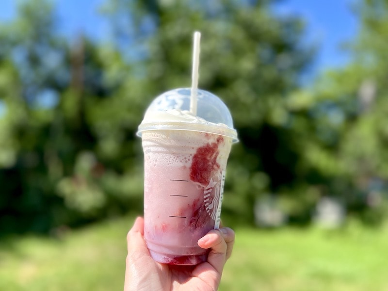 Starbucks Strawberry Creme Frappuccino held in front of green lawn