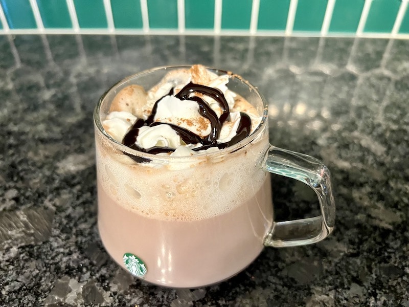 Starbucks mocha hot chocolate drink with whipped cream, cocoa powder, and chocolate syrup in glass