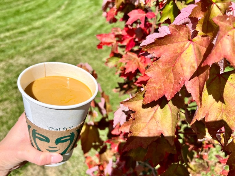 Starbucks pumpkin spice latte hot drink with fall leaves
