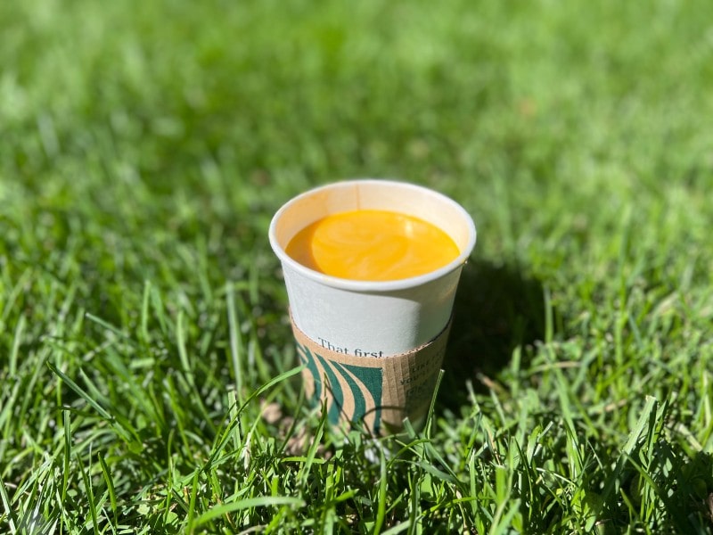 Starbucks pumpkin spice steamer
