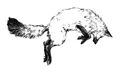 Fox In The Snow Cafe logo