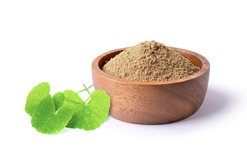 Dried gotu kola leaf powder