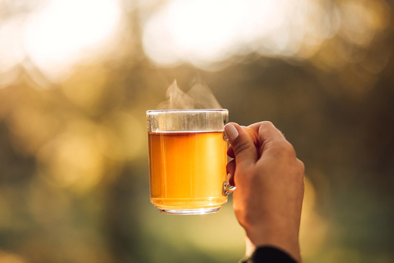 female hands holding cup with hot tea