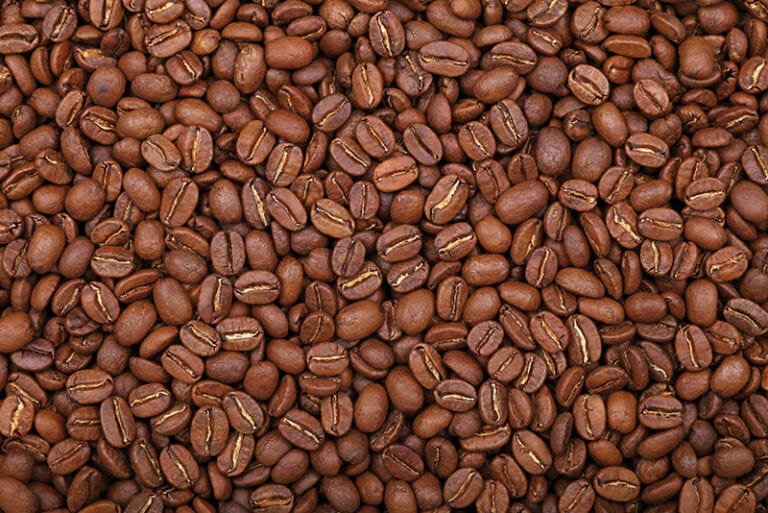 Excelsa Coffee Beans Facts Flavors Pictures Corner Coffee Store