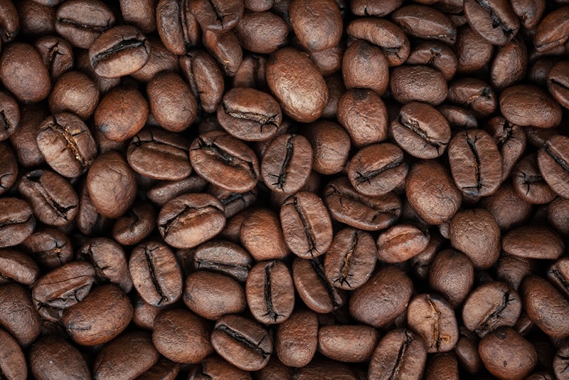 dark roasted robusta coffee beans